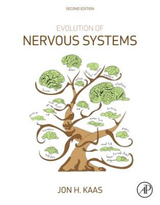 Книга Evolution of Nervous Systems Jon H. Kaas