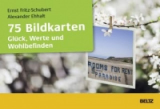 Spiel/Spielzeug 75 Bildkarten Glück, Werte und Wohlbefinden Ernst Fritz-Schubert