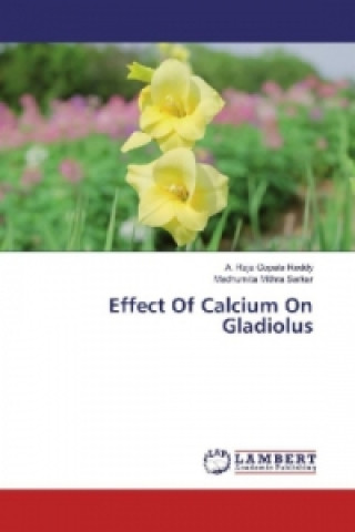 Kniha Effect Of Calcium On Gladiolus A. Raja Gopala Reddy