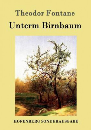 Książka Unterm Birnbaum Theodor Fontane