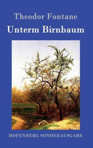 Книга Unterm Birnbaum Theodor Fontane