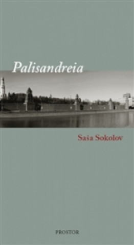 Kniha Palisandreia Saša Sokolov