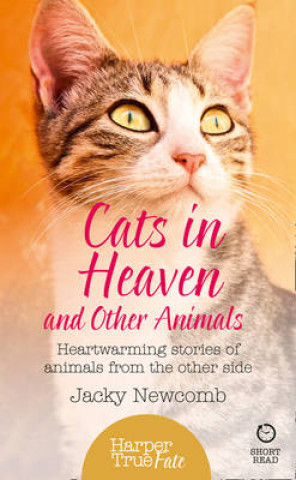 Kniha Cats in Heaven Jacky Newcomb