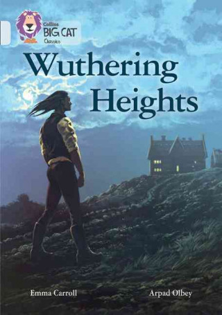 Buch Wuthering Heights Emma Carroll