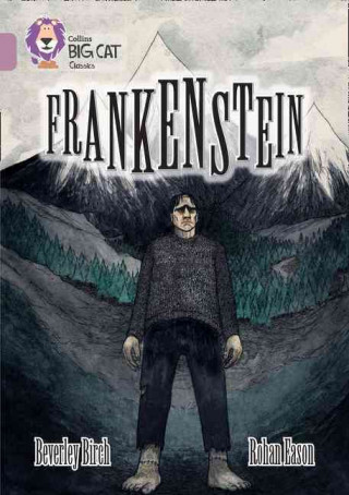 Knjiga Frankenstein Beverly Birch