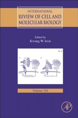 Книга International Review of Cell and Molecular Biology Kwang W. Jeon