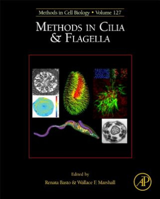 Kniha Methods in Cilia and Flagella Renata Basto