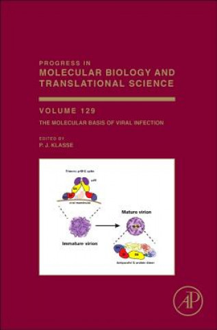 Kniha Molecular Basis of Viral Infection P. J. Klasse