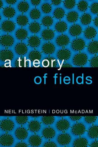 Carte Theory of Fields Fligstein