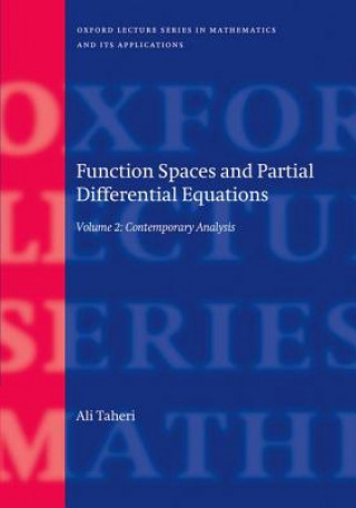 Könyv Function Spaces and Partial Differential Equations ALI TAHERI