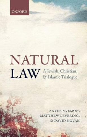 Buch Natural Law David Novak