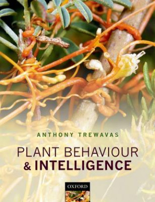 Kniha Plant Behaviour and Intelligence Anthony Trewavas