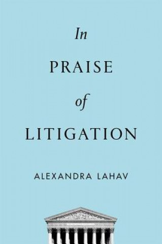 Книга In Praise of Litigation Alexandra Lahav