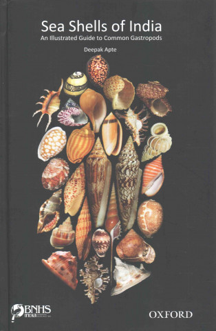 Książka Sea Shells of India Deepak Apte