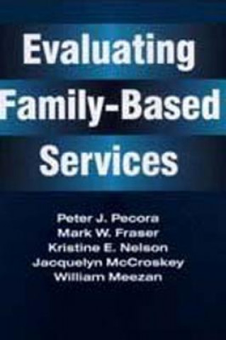 Buch Evaluating Family-Based Services Meezan