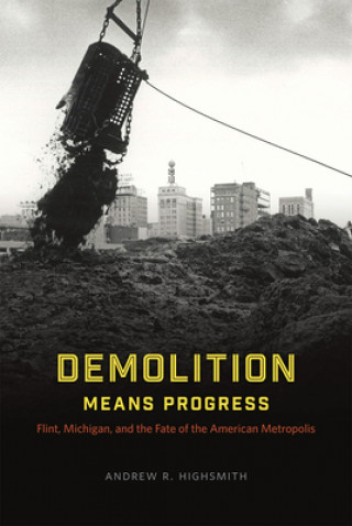 Kniha Demolition Means Progress Andrew R. Highsmith