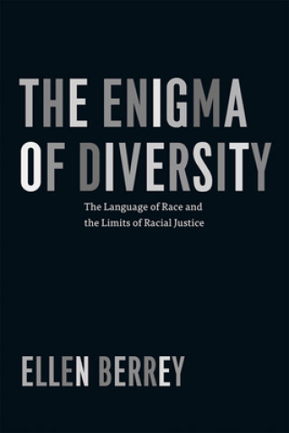 Kniha Enigma of Diversity Ellen Berrey