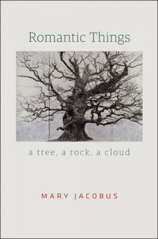 Книга Romantic Things Mary Jacobus