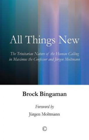 Kniha All Things New Brock Bingaman