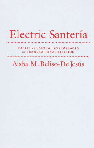 Kniha Electric Santeria Aisha M. Beliso-De Jesus