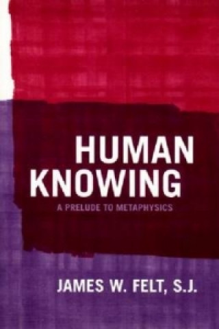 Kniha Human Knowing James W. Felt