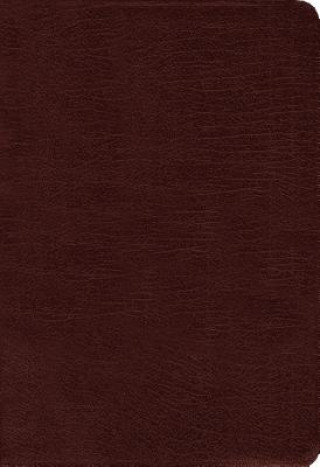 Carte Amplified Holy Bible, Bonded Leather, Burgundy Zondervan Publishing