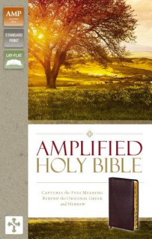 Book Amplified Holy Bible, Bonded Leather, Burgundy, Thumb Indexed Zondervan Publishing