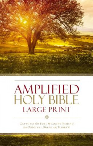 Könyv Amplified Holy Bible, Large Print, Hardcover Zondervan Publishing