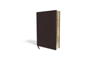 Kniha Amplified Holy Bible, Large Print, Bonded Leather, Burgundy Zondervan Publishing