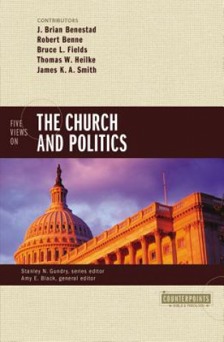 Buch Five Views on the Church and Politics Amy E. Black