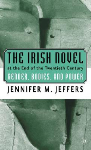 Kniha Irish Novel at the End of the Twentieth Century Jennifer M. Jeffers