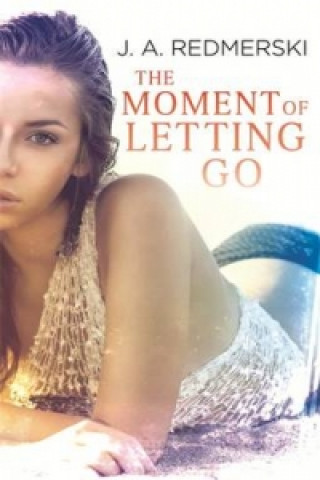 Kniha Moment of Letting Go J. A. Redmerski