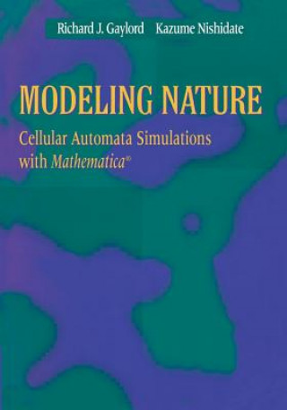 Kniha Modeling Nature Richard J. Gaylord