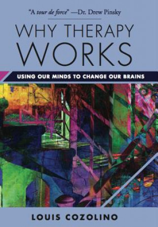 Book Why Therapy Works Louis J. Cozolino