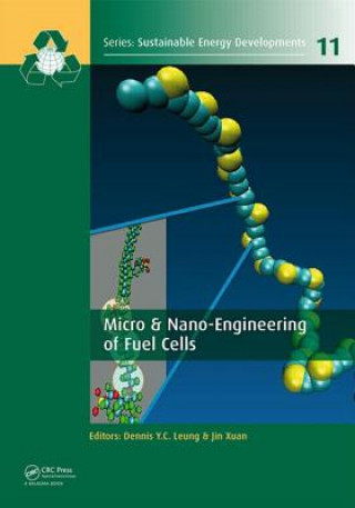 Könyv Micro & Nano-Engineering of Fuel Cells Dennis Y. C. Leung