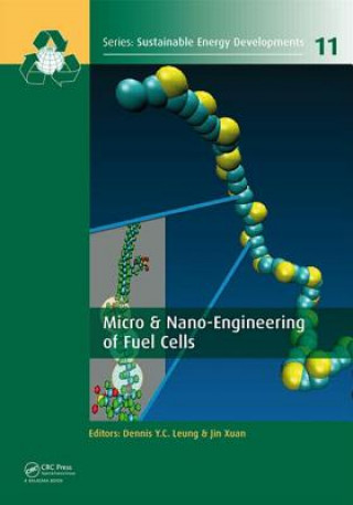 Buch Micro & Nano-Engineering of Fuel Cells Dennis Y. C. Leung