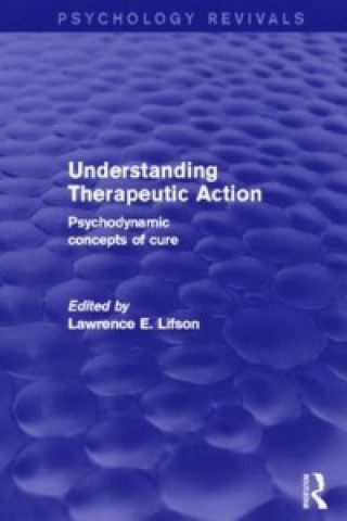 Könyv Understanding Therapeutic Action 