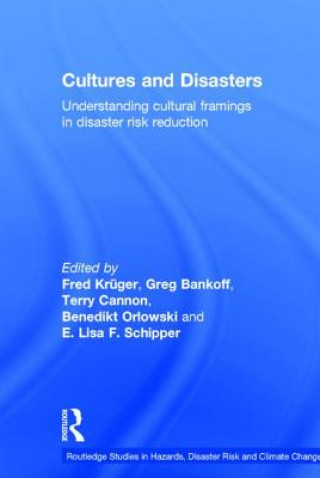 Kniha Cultures and Disasters 