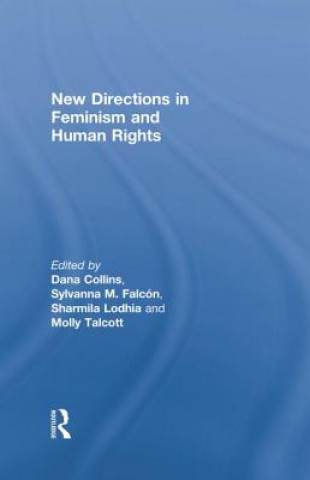 Kniha New Directions in Feminism and Human Rights Dana Collins