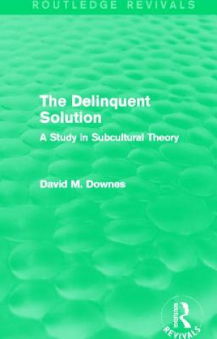 Książka Delinquent Solution (Routledge Revivals) David Downes