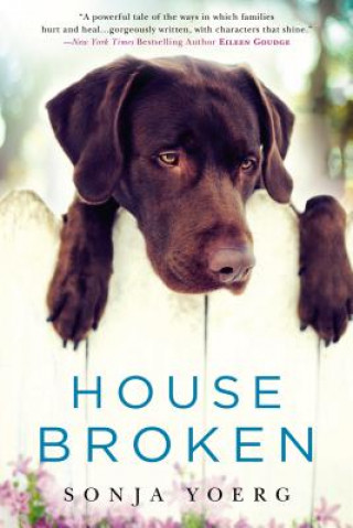 Book House Broken Sonja Yoerg