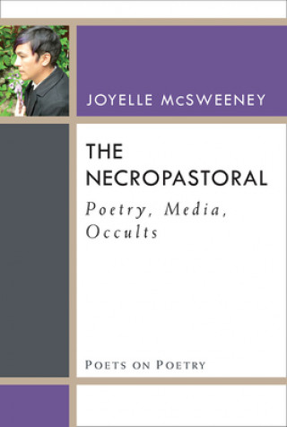 Book Necropastoral Joyelle McSweeney