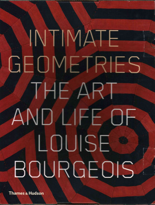 Kniha Intimate Geometries Roberto Storr