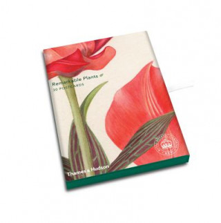Kniha Remarkable Plants: Box of 30 Postcards Kew Royal Botanic Gardens