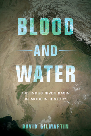 Kniha Blood and Water David Gilmartin