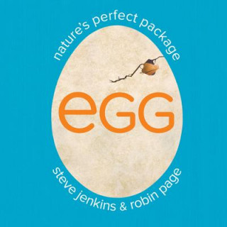 Libro Egg Steve Jenkins