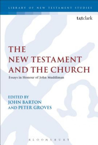 Könyv New Testament and the Church John Barton