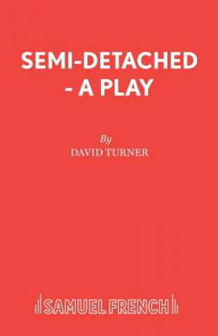 Kniha Semi-detached David Turner