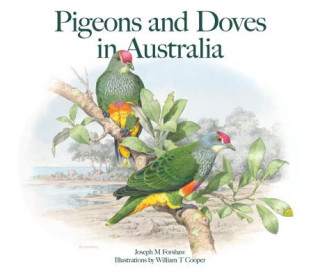 Kniha Pigeons and Doves in Australia Joseph M. Forshaw