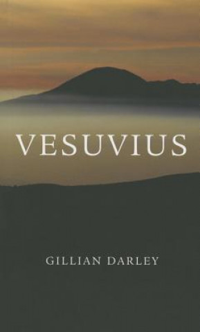 Knjiga Vesuvius Gillian Darley